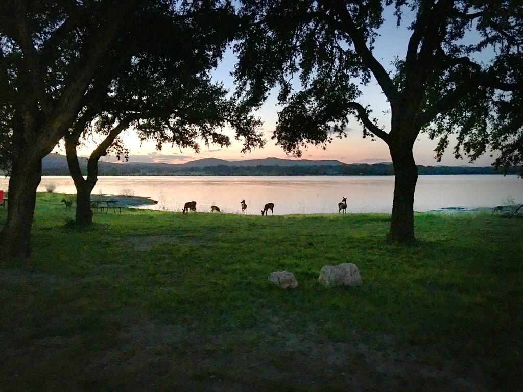 Medina Lake Camping Resort Cabin 3 Lakehills Extérieur photo